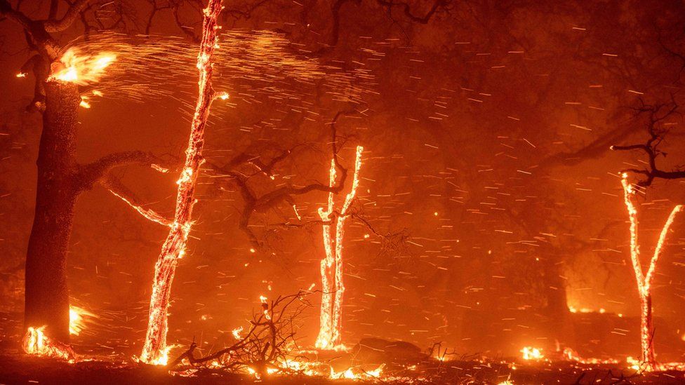 California wildfires: The day Paradise burned down